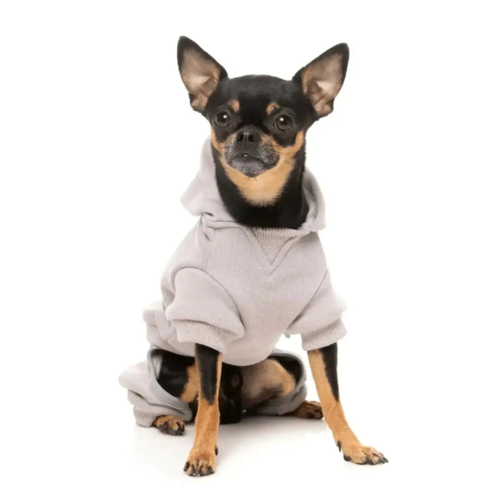 Fuzzyard Urban Tracksuit  Dog Coat - Cool Grey Fuzzyard