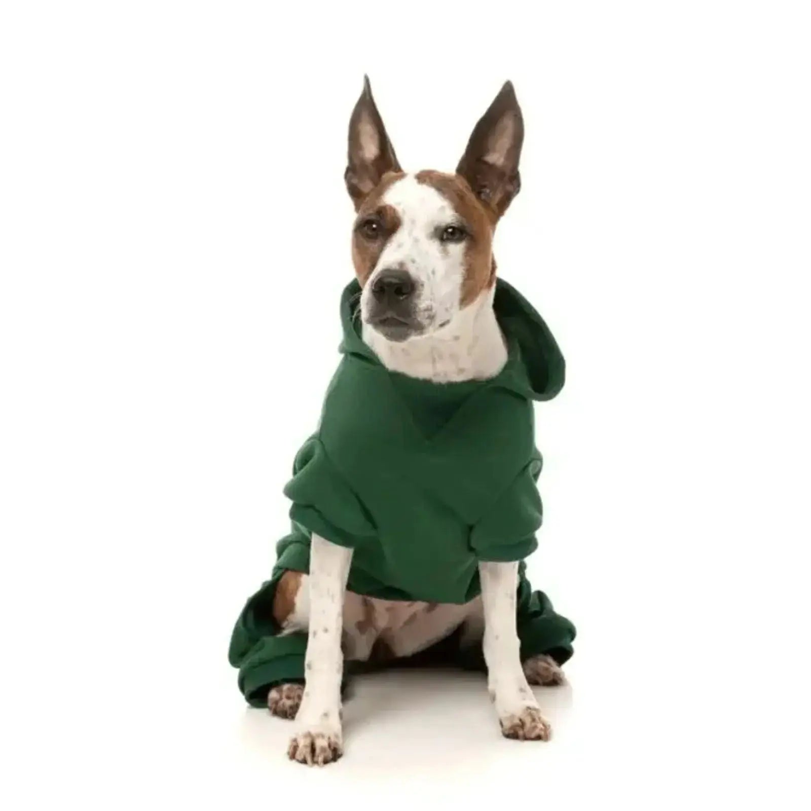 Fuzzyard Urban Tracksuit  Dog Coat - Green Fuzzyard