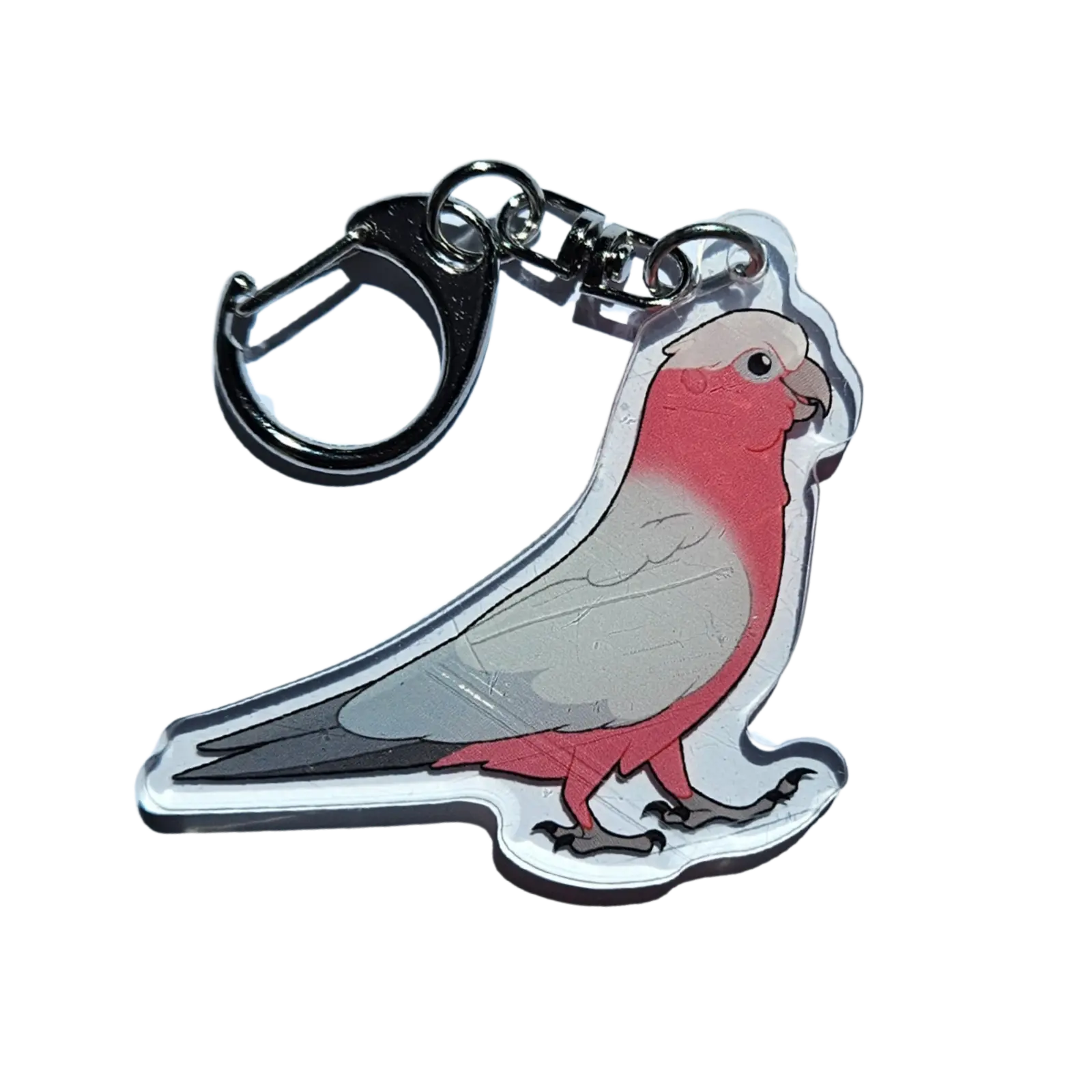 Galah Acrylic Keychain Hecko Gecko