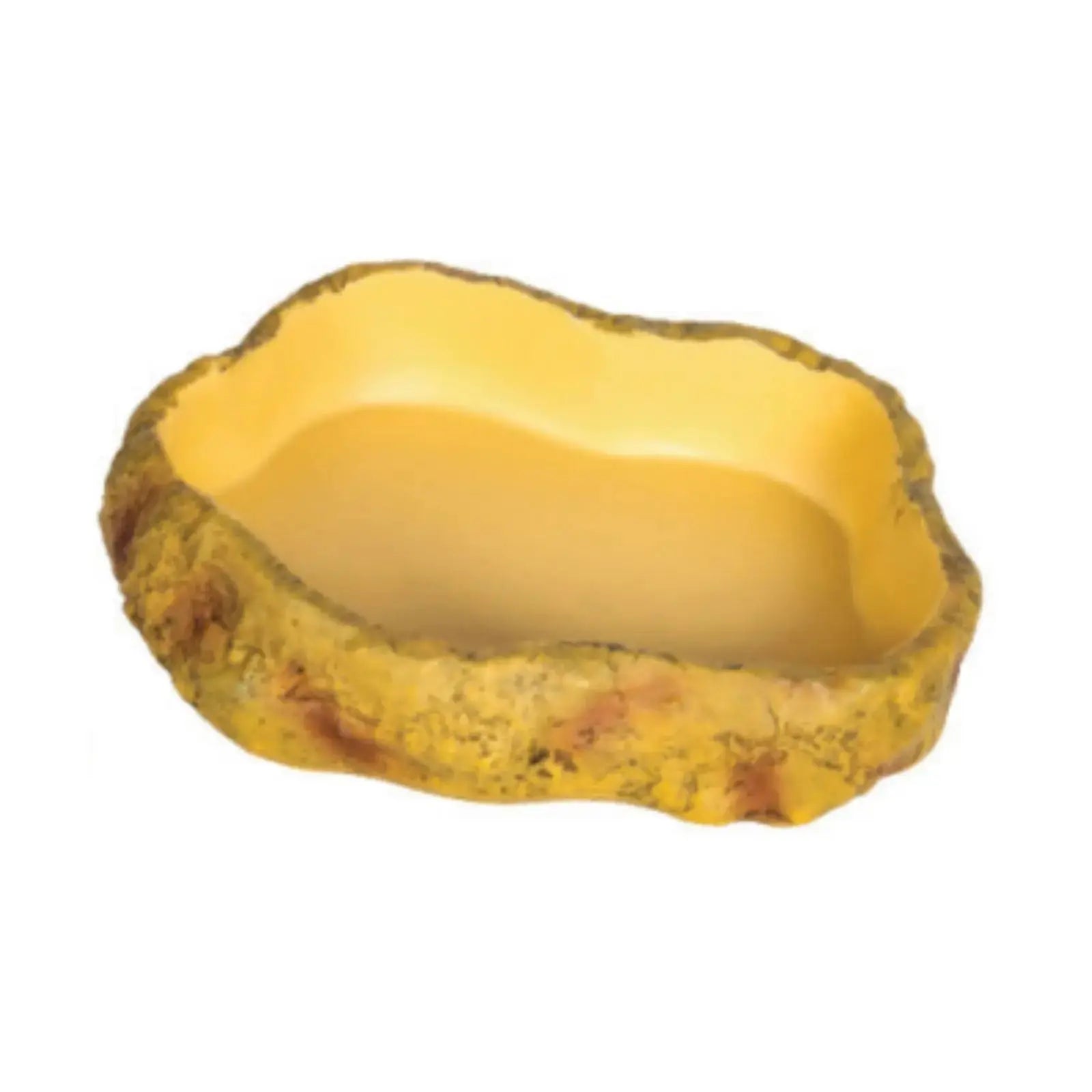 Get Your Pet Right Desert Repti Food Dish Get Your Pet Right