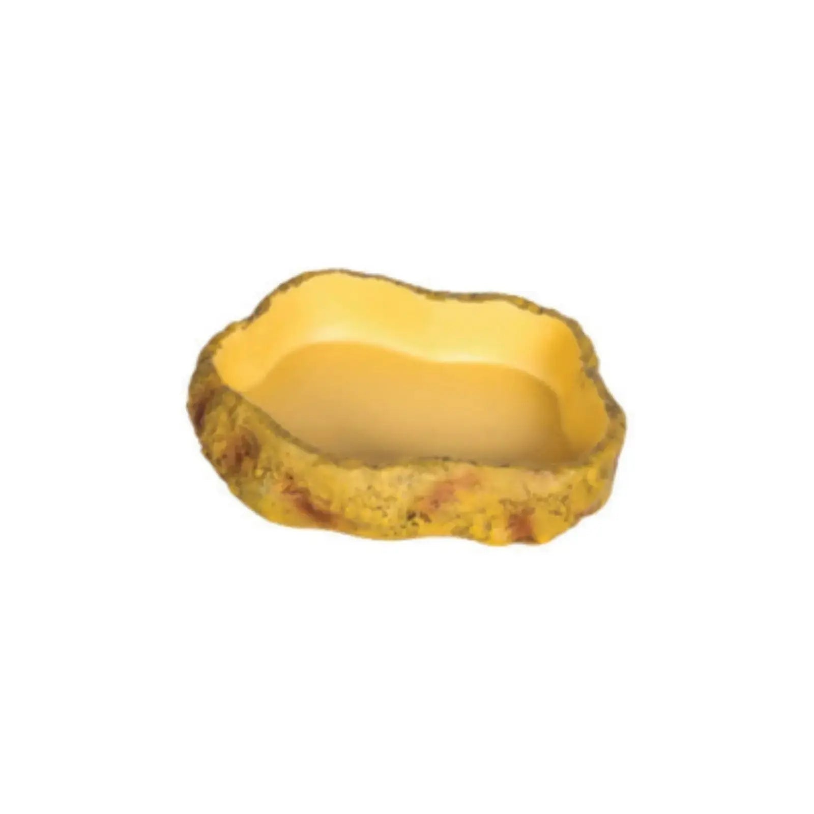 Get Your Pet Right Desert Repti Food Dish Get Your Pet Right