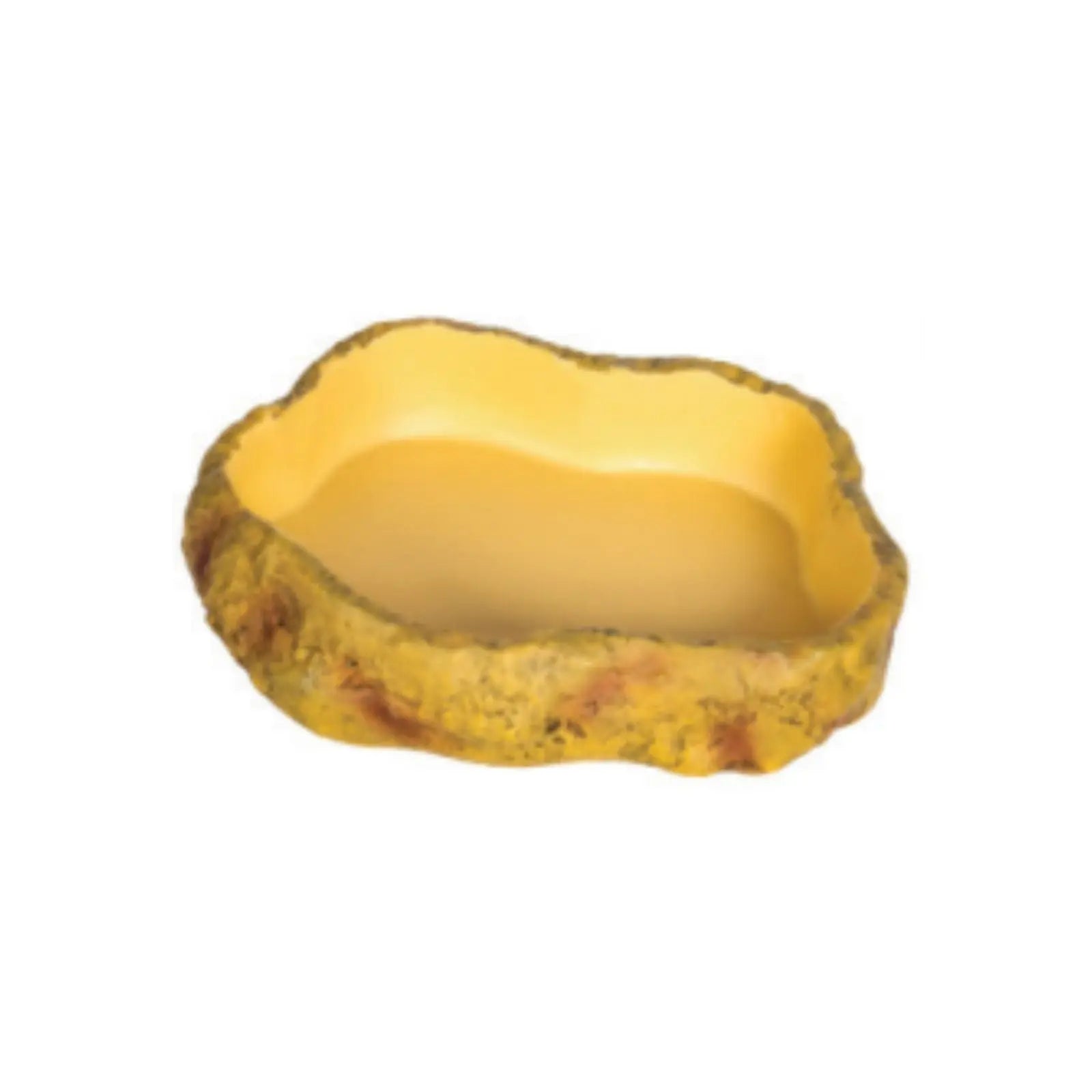 Get Your Pet Right Desert Repti Food Dish Get Your Pet Right