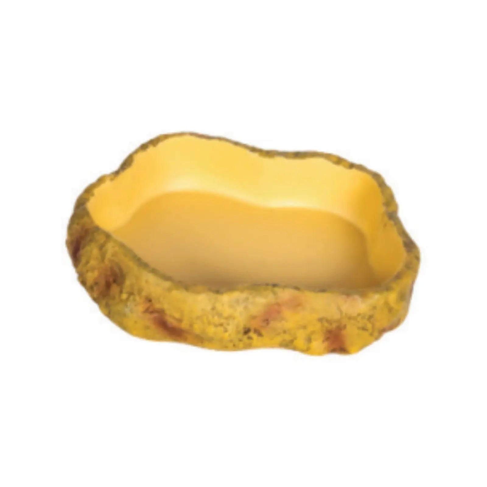 Get Your Pet Right Desert Repti Food Dish Get Your Pet Right