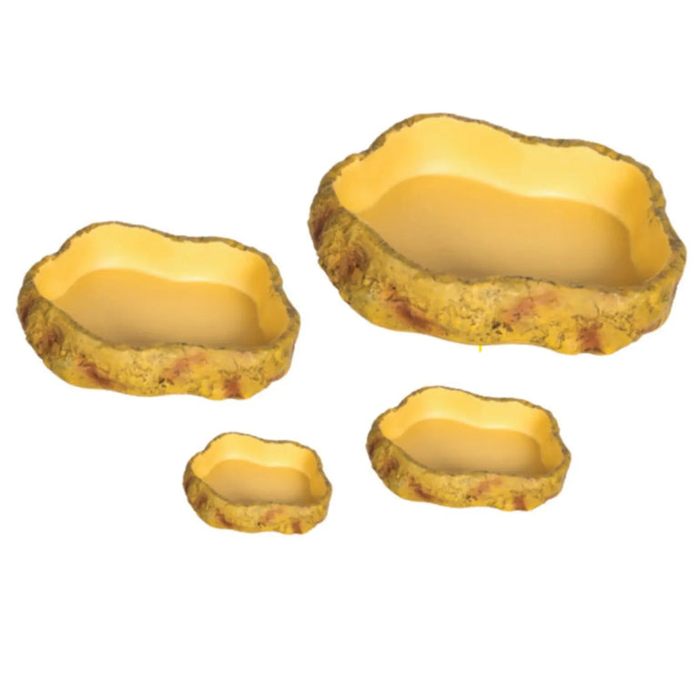 Get Your Pet Right Desert Repti Food Dish Get Your Pet Right
