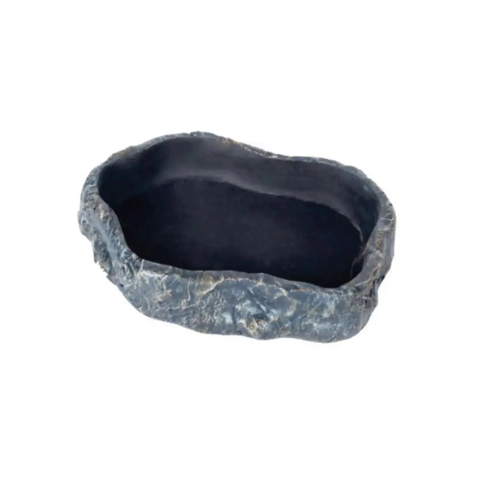 Get Your Pet Right Forest Repti Food Dish Get Your Pet Right