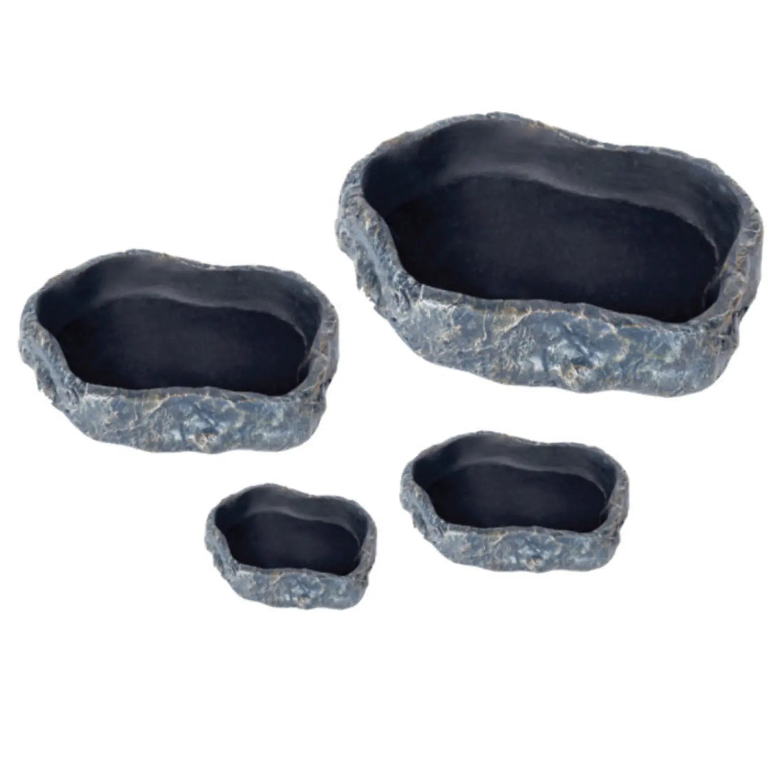 Get Your Pet Right Forest Repti Food Dish Get Your Pet Right