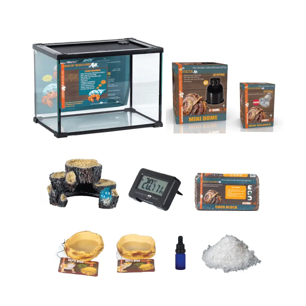 Get Your Pet Right Hermit Crab Kit - Kellyville Pets