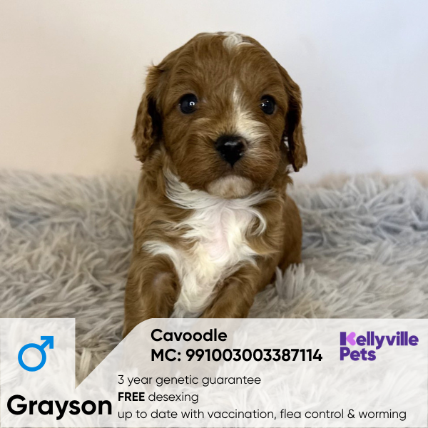 Grayson
