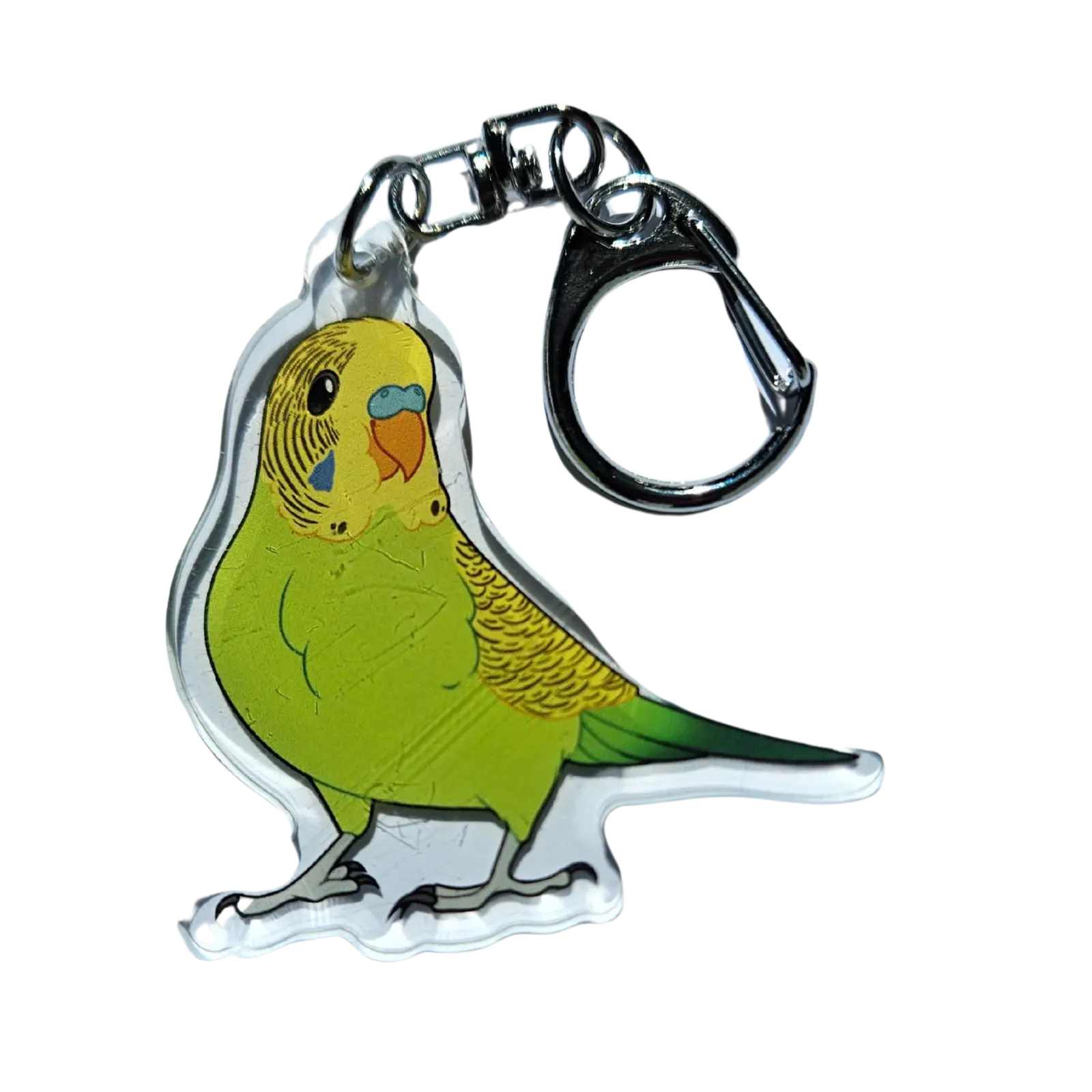 Green Budgie Acrylic Keychain Hecko Gecko
