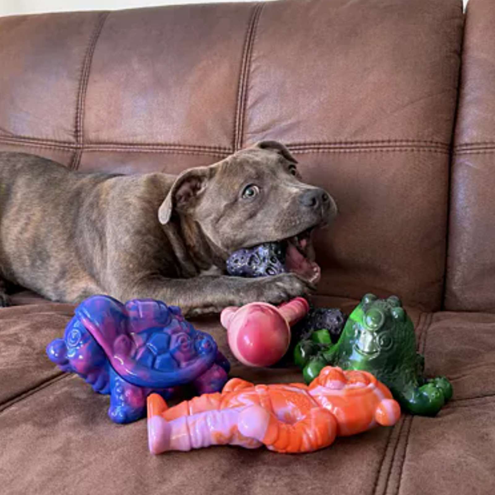 Happy Staffy Co. Chewzilla Galactic Quest Dog Toys(Gift box)