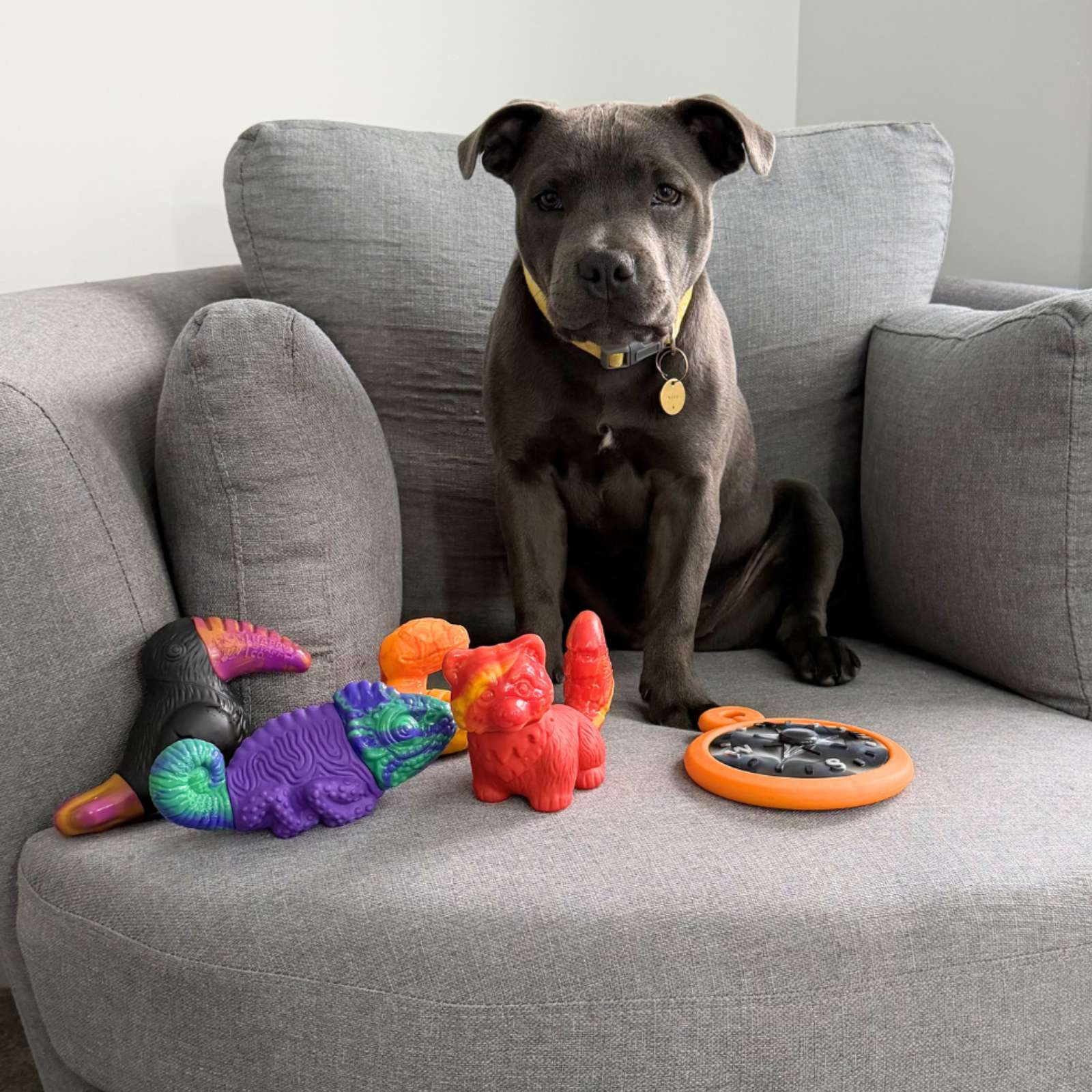 Happy Staffy Co. Camo the Chameleon Tough Dog Toy