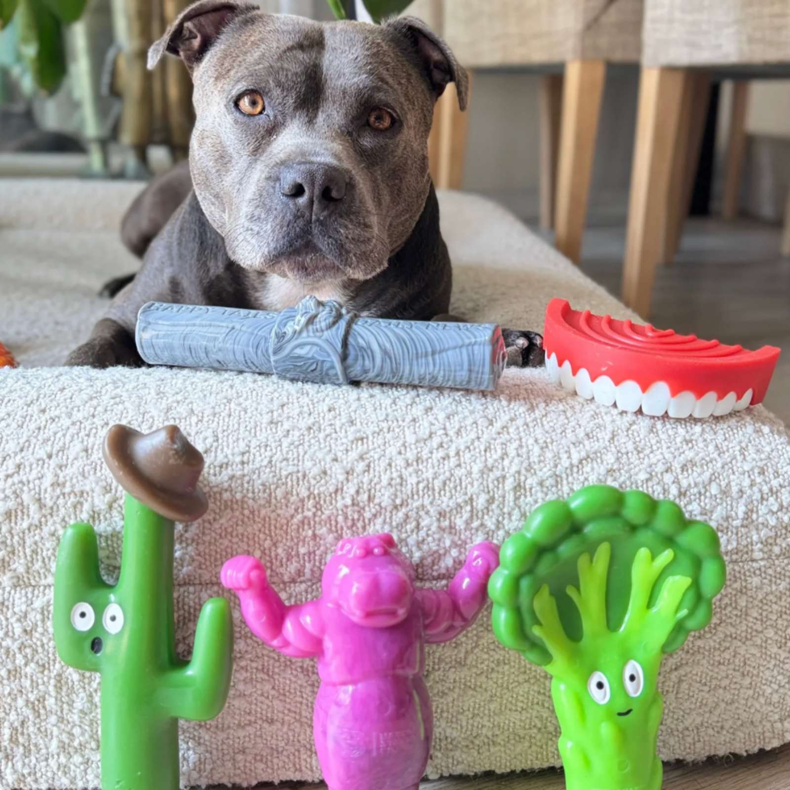 Happy Staffy Co. Chomp-O-Potamus Tough Dog Toy