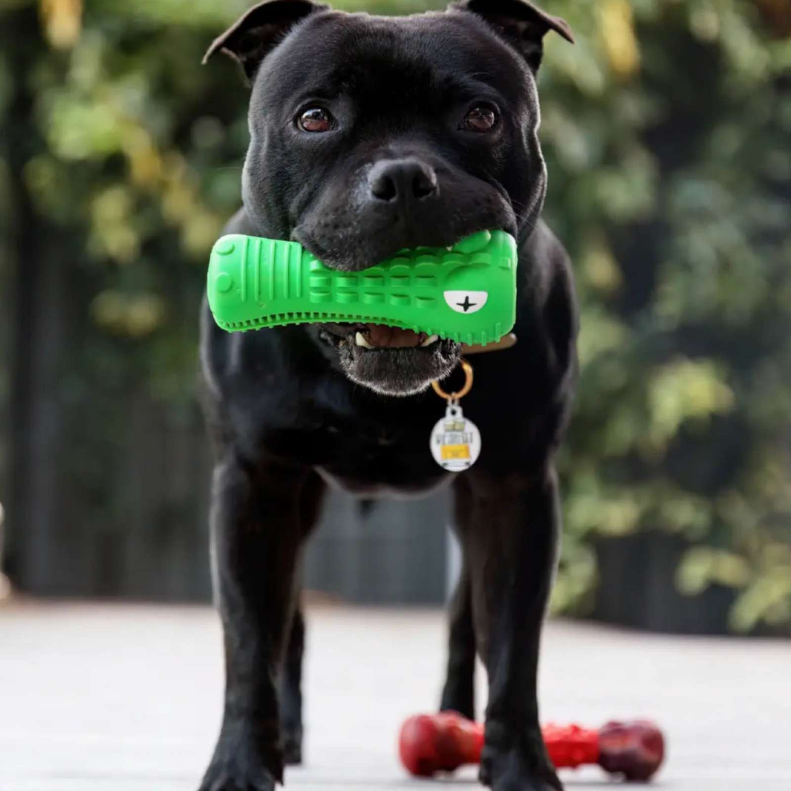 Happy Staffy Co. Crocodile Dental Chew Dog Toy