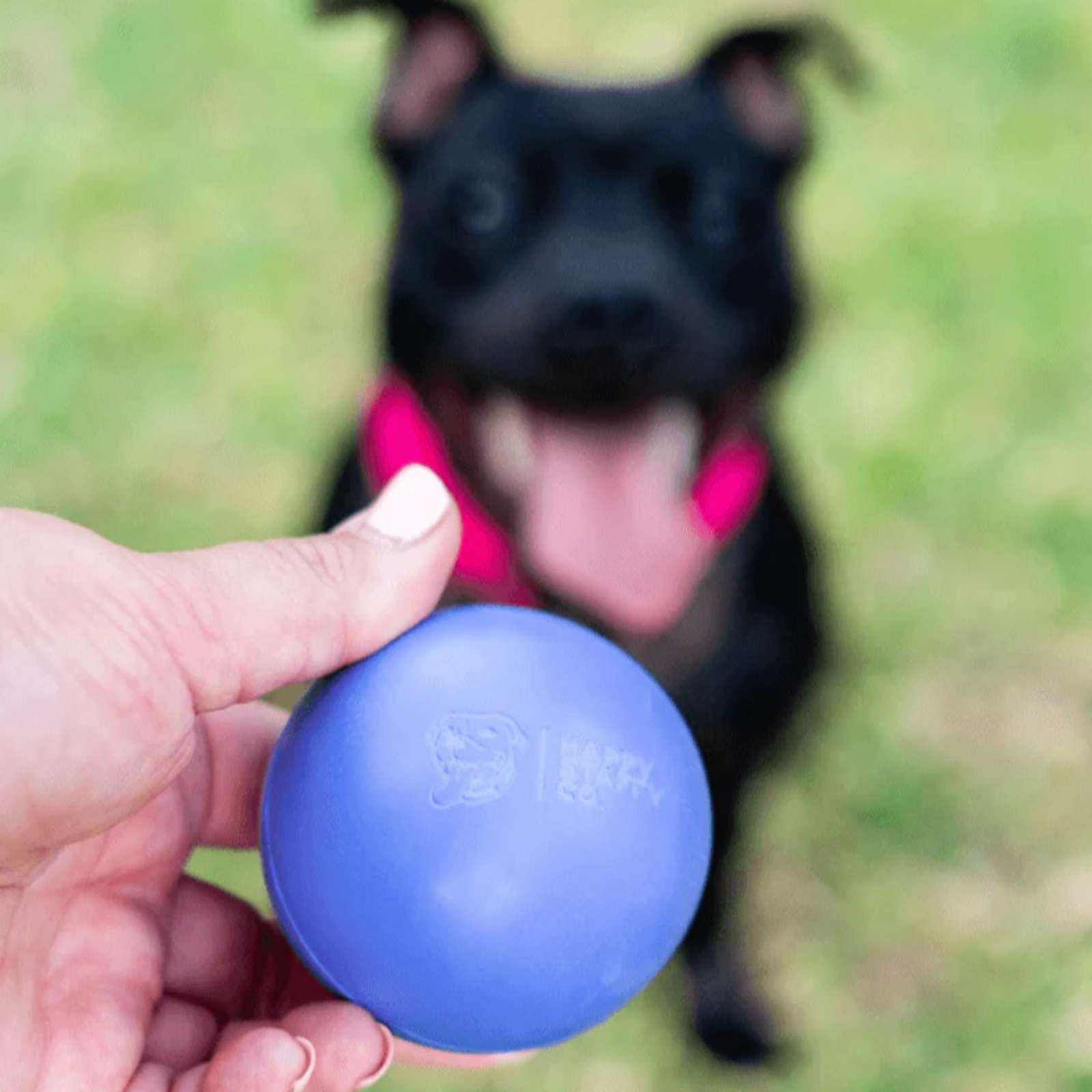 Happy Staffy Co. Happy Staffy Duraball Purple Dog Toy