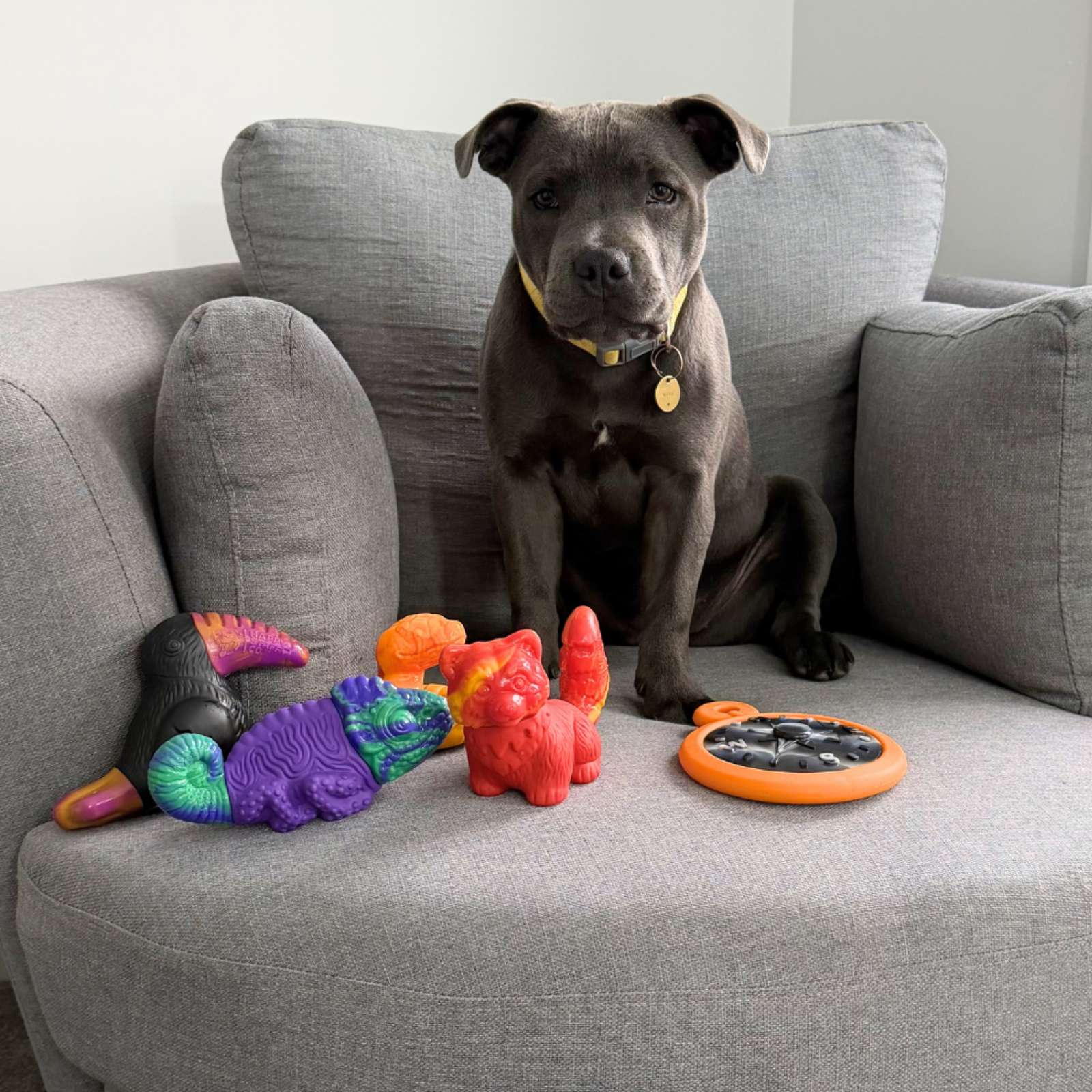 Happy Staffy Co. Ravi The Red Panda Tough Dog Toy