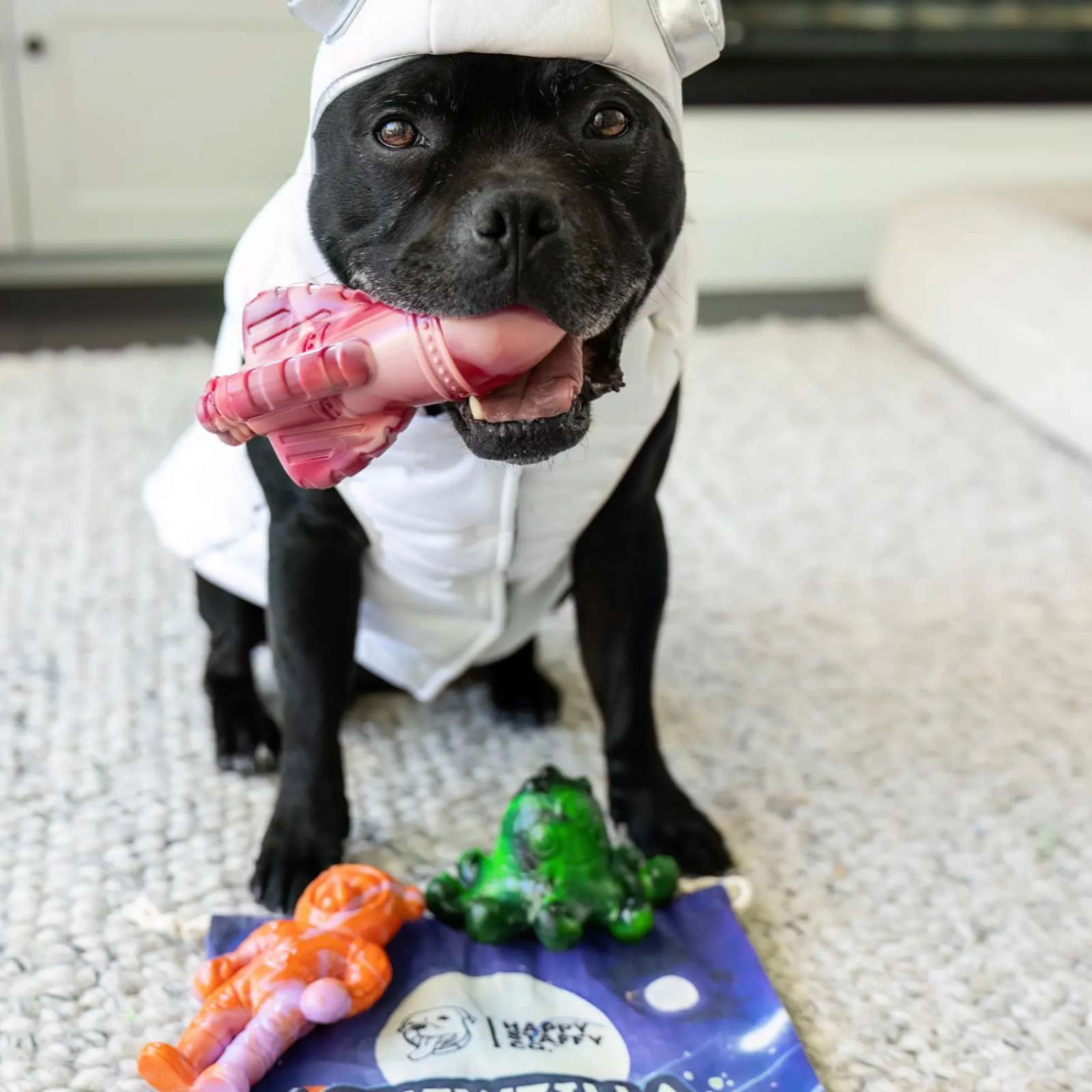 Happy Staffy Co. Rocket Tough Dog Toy
