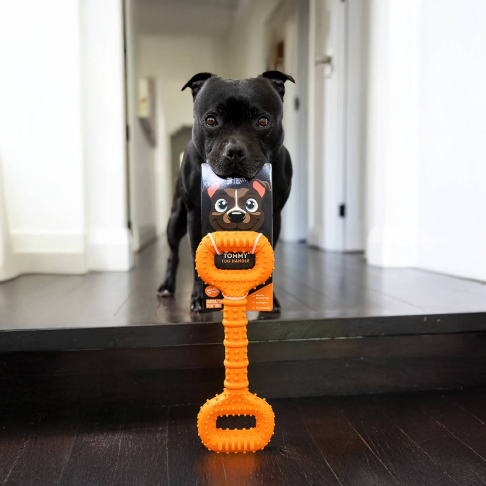 Happy Staffy Co. Tommy Tug Handle Orange Dog Toy