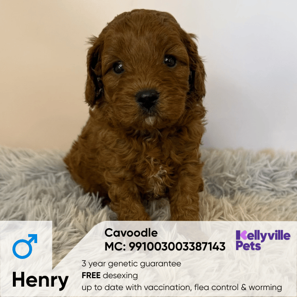 Henry