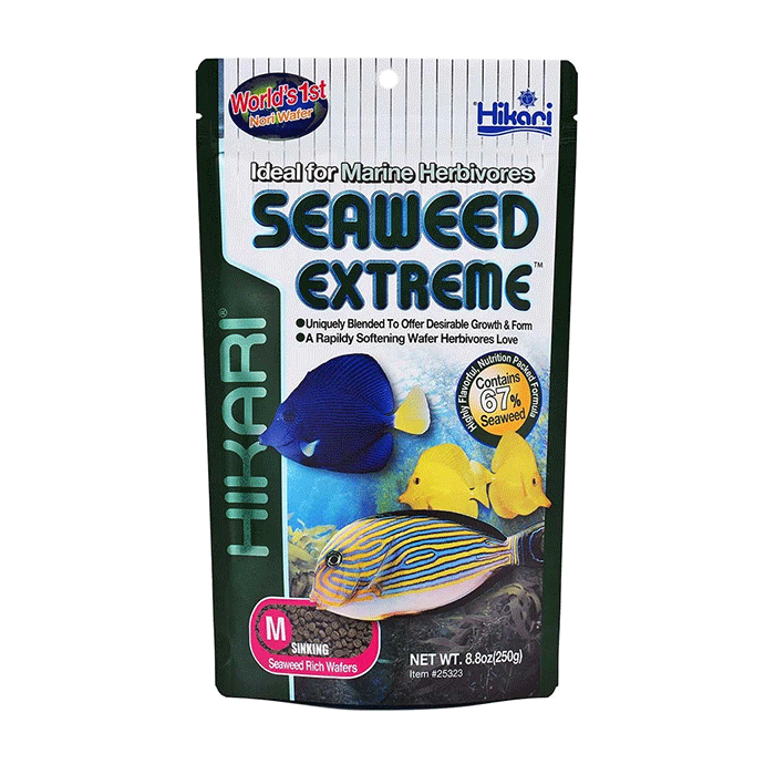 Hikari Seaweed Extreme Medium Wafers Hikari