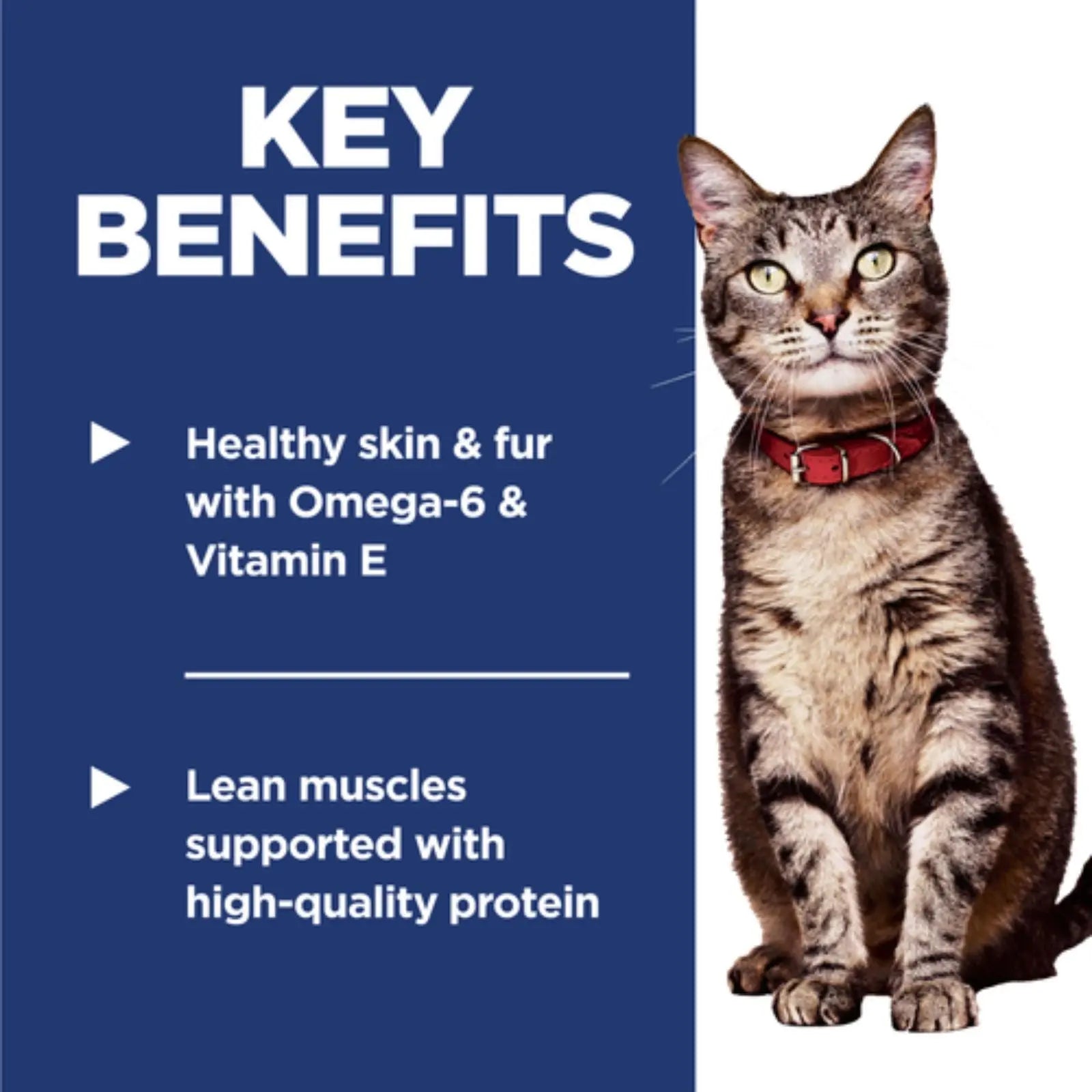 Hill's Science Diet Cat Dry Food Adult Salmon - 2.9kg Hills