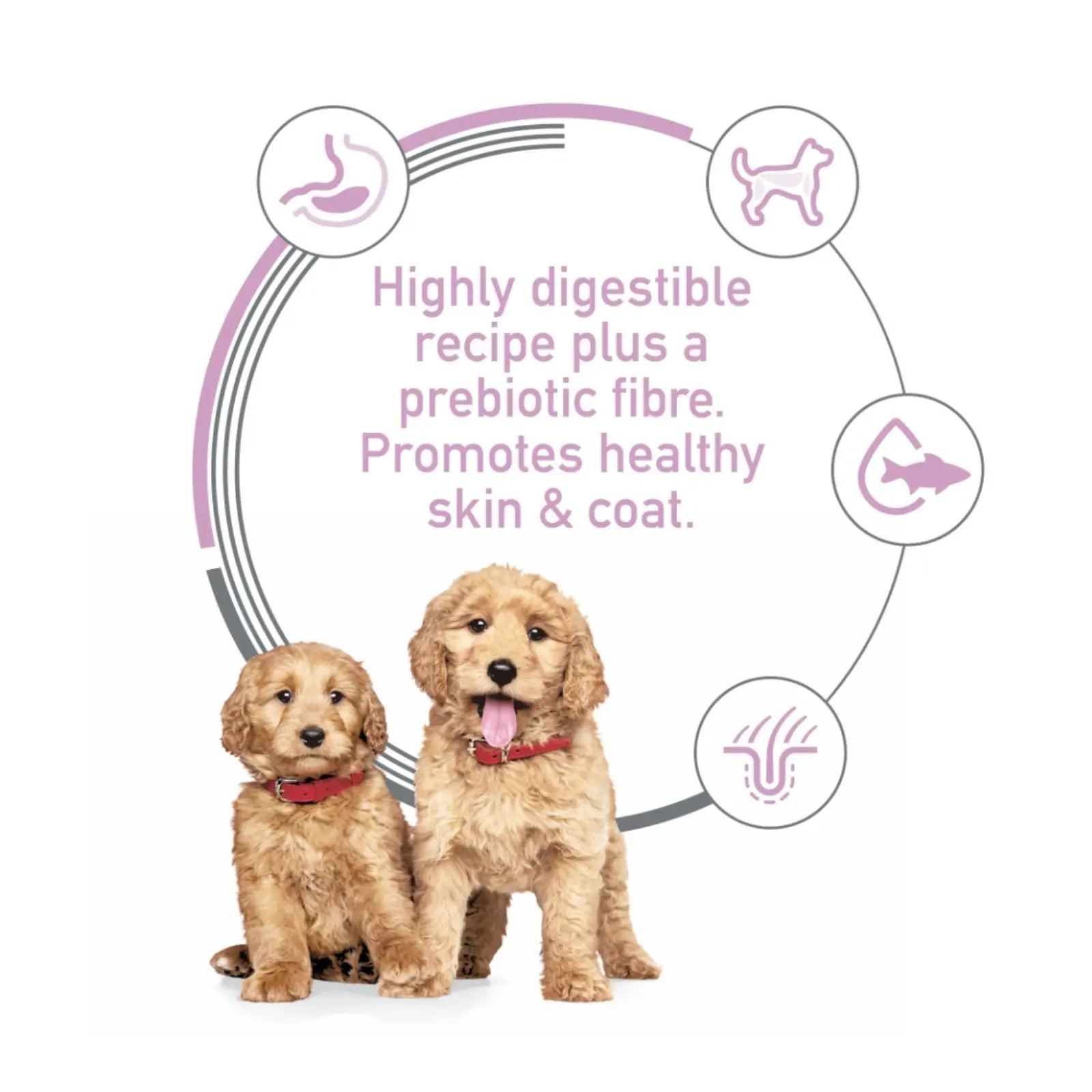Hill's Science Diet Puppy Can Food Sensitive Stomach & Skin - 12x354g Hills
