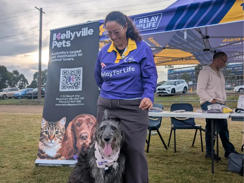 Hills Relay for Life Dog Morning
