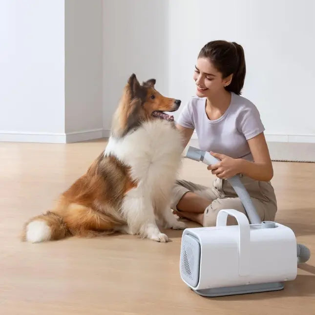 HomerunPET Pet Hair Force Dryer Homerunpet