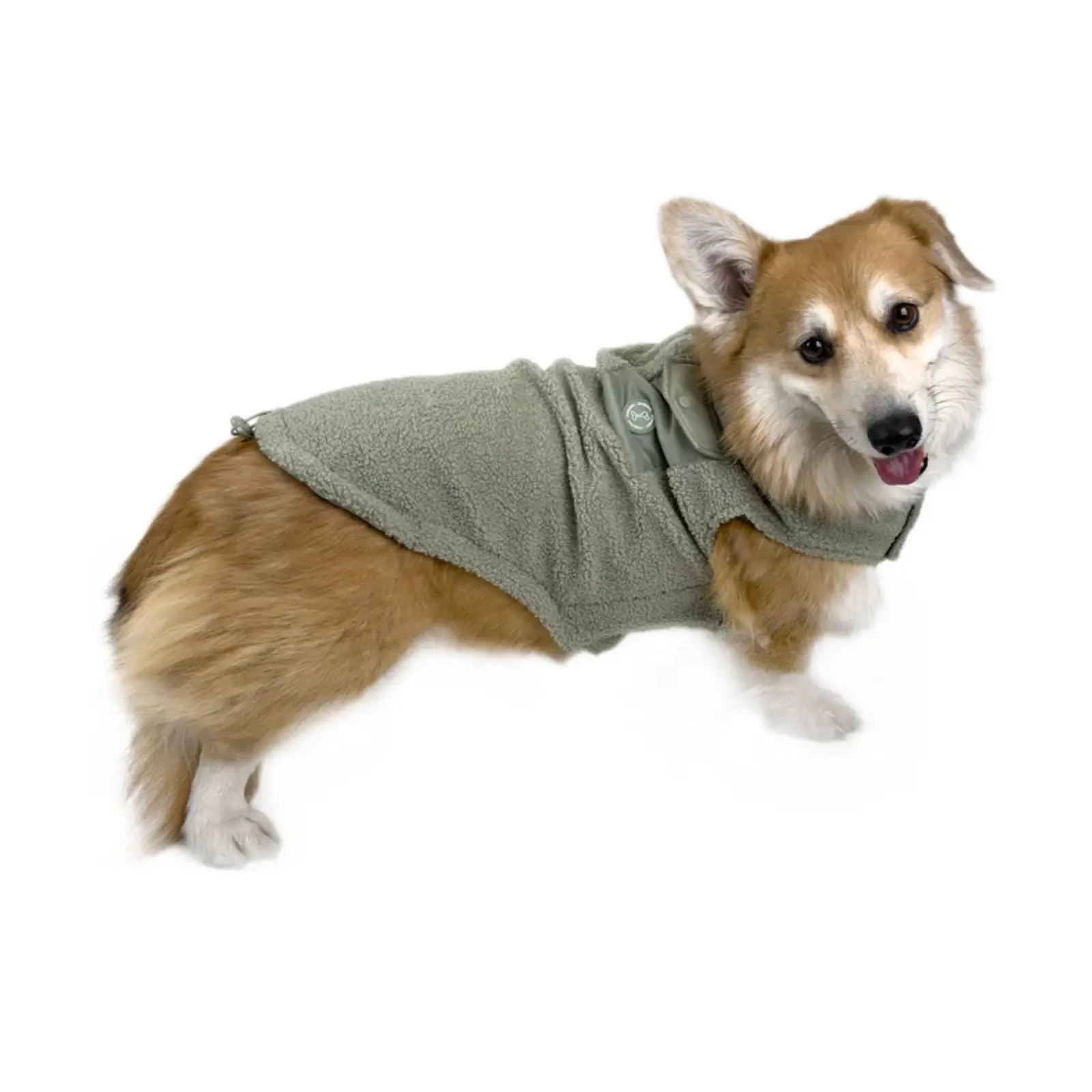 Huskimo Boucle – Gum Leaf Green Warm Winter Dog Jacket Huskimo
