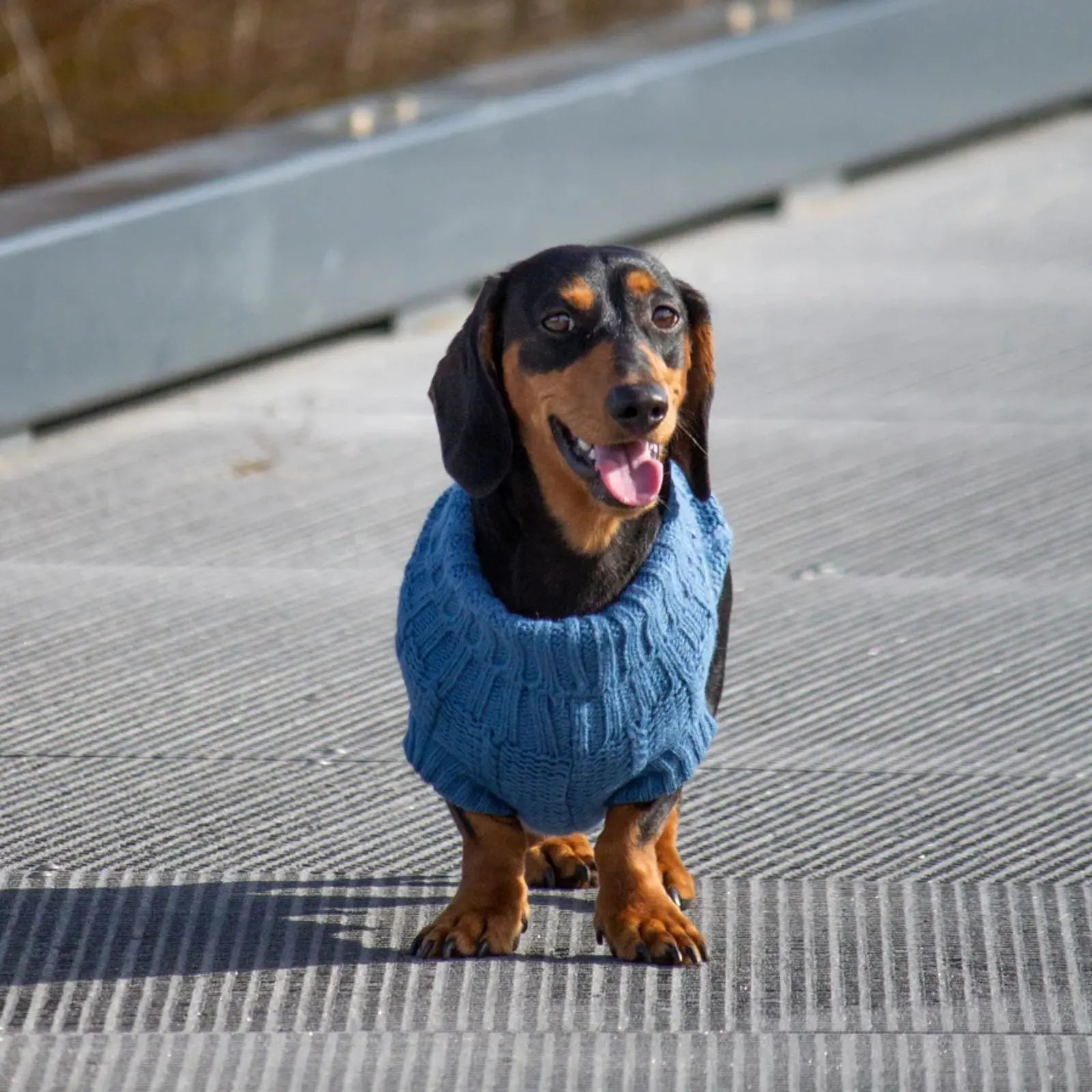 Huskimo French Knit – Indigo Blue Soft Stretch Dog Jumper Huskimo