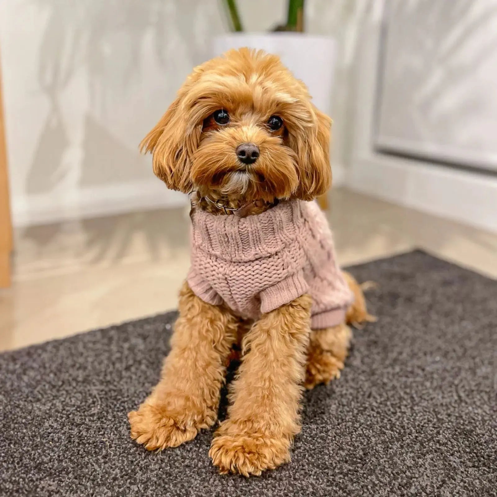 Huskimo French Knit – Rose Pink Soft Stretch Dog Jumper Huskimo