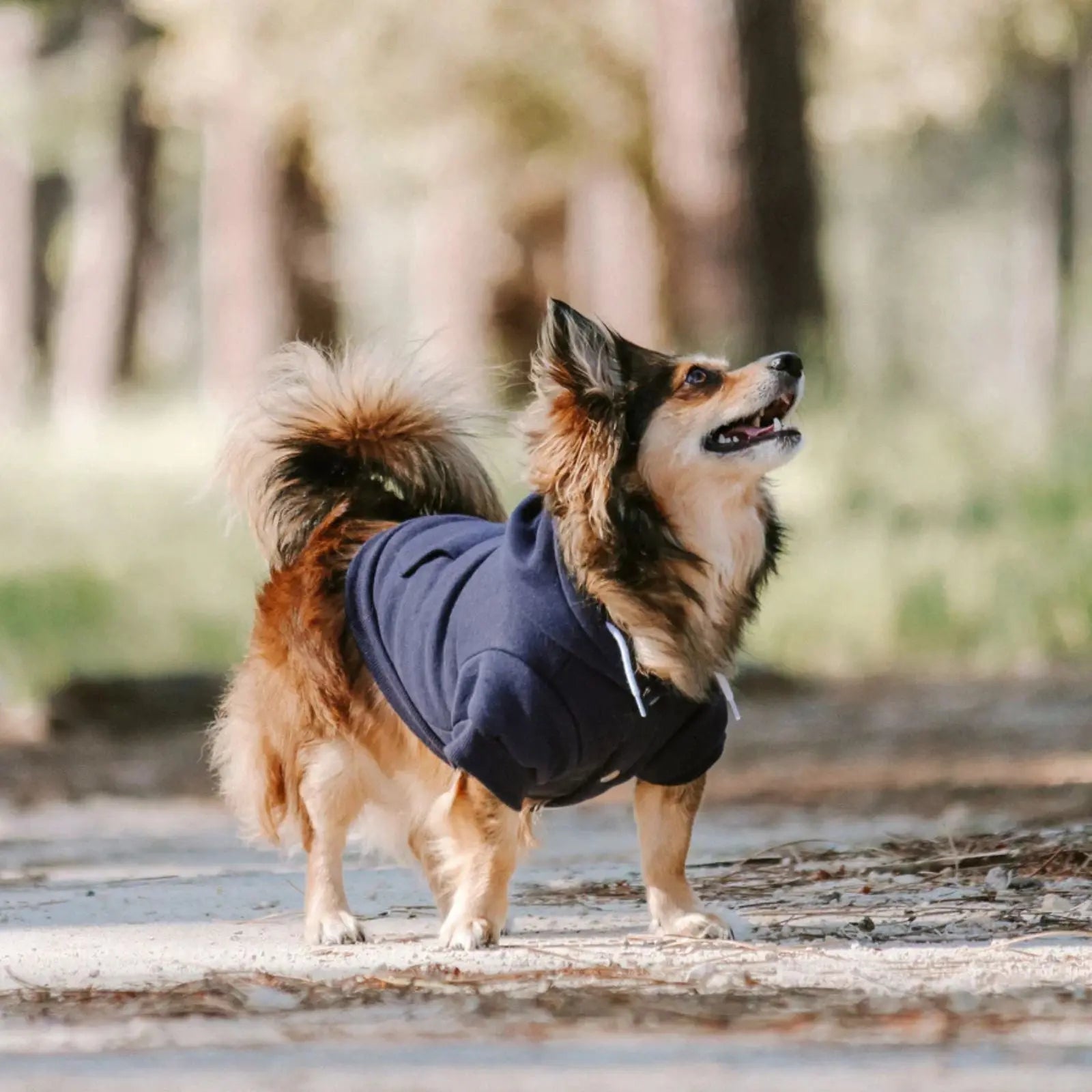 Huskimo Mt Baw Baw – Ink Blue Cozy Fleece Dog Hoodie Huskimo