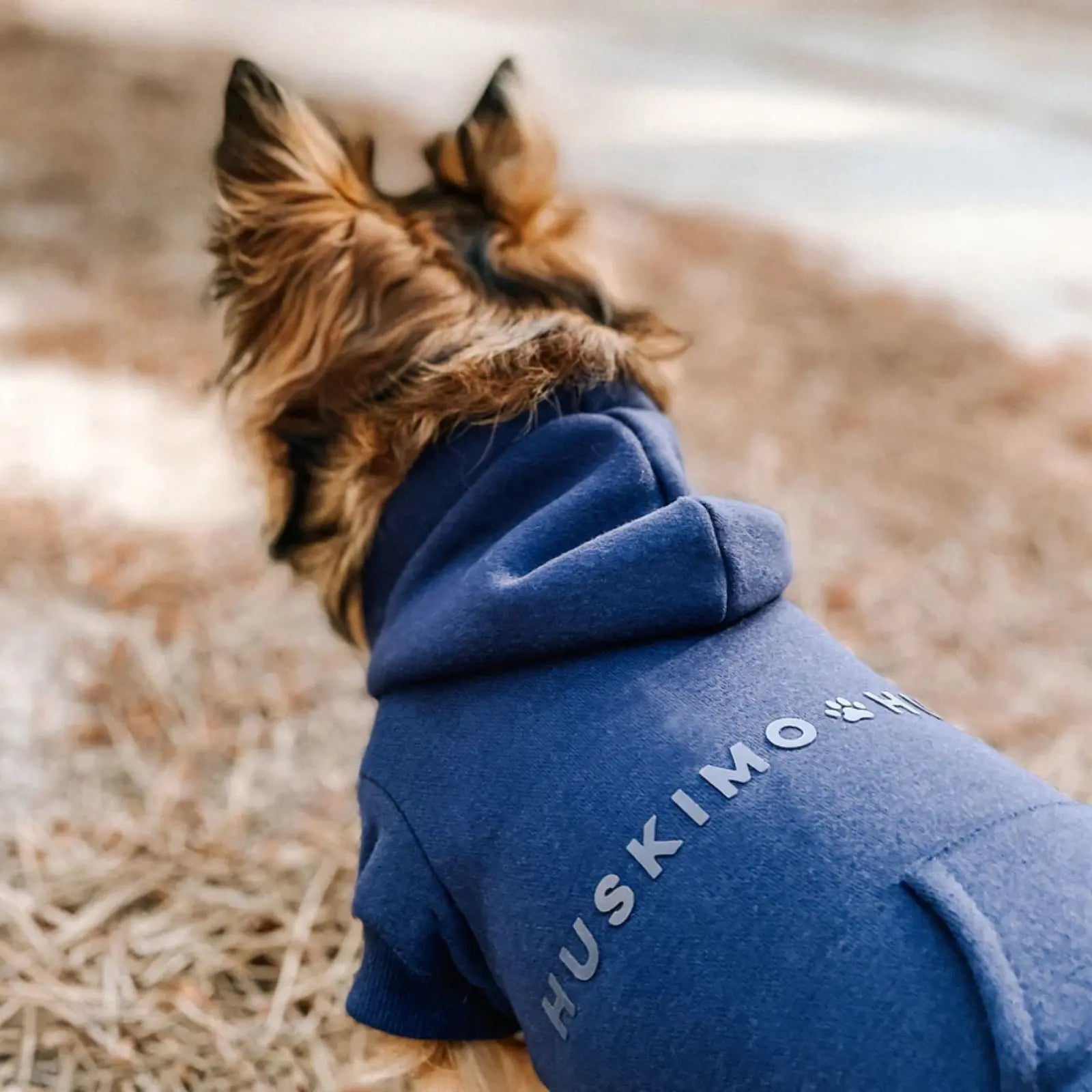 Huskimo Mt Baw Baw – Ink Blue Cozy Fleece Dog Hoodie Huskimo
