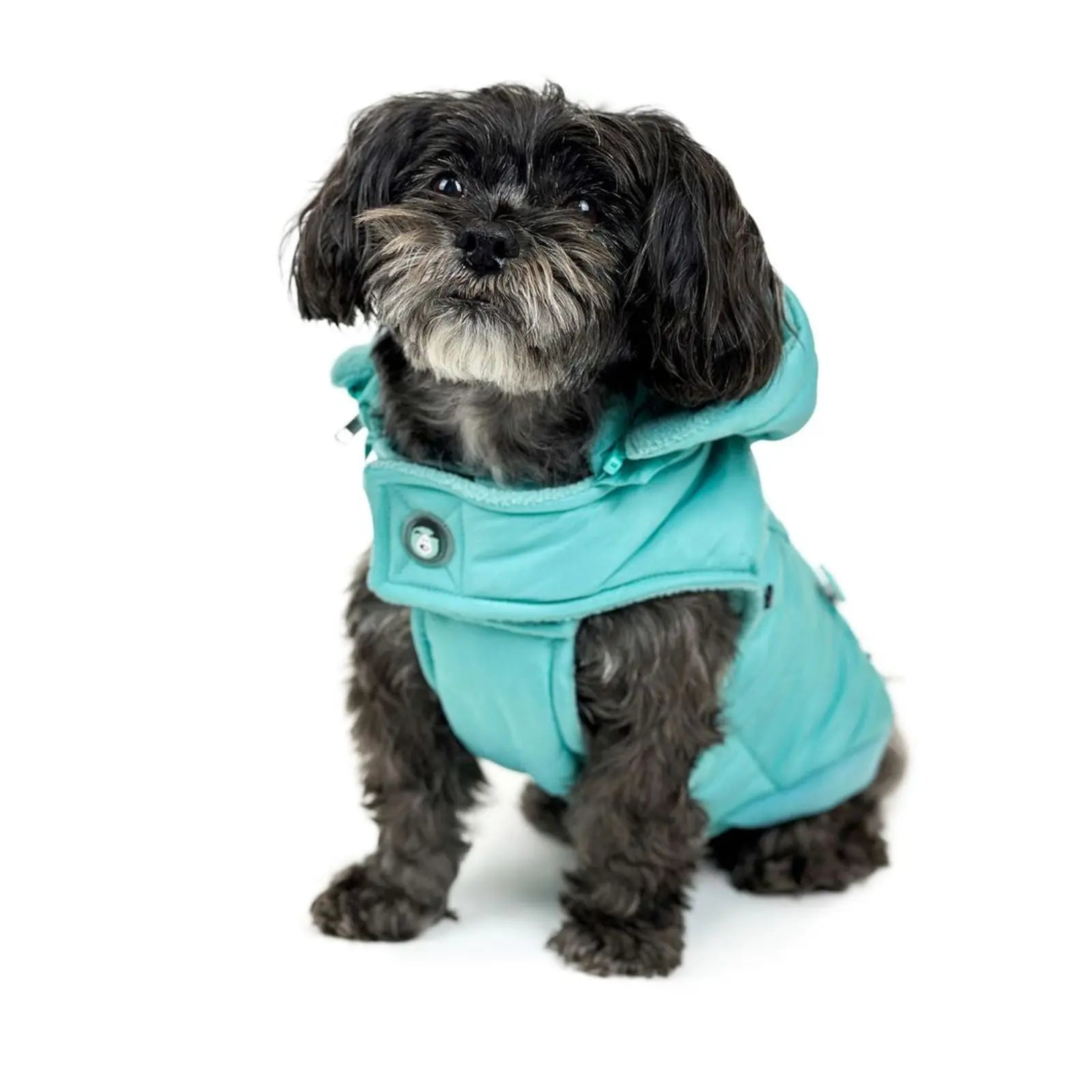 Huskimo Mt Buller – Periwinkle Winter Dog Jacket Huskimo