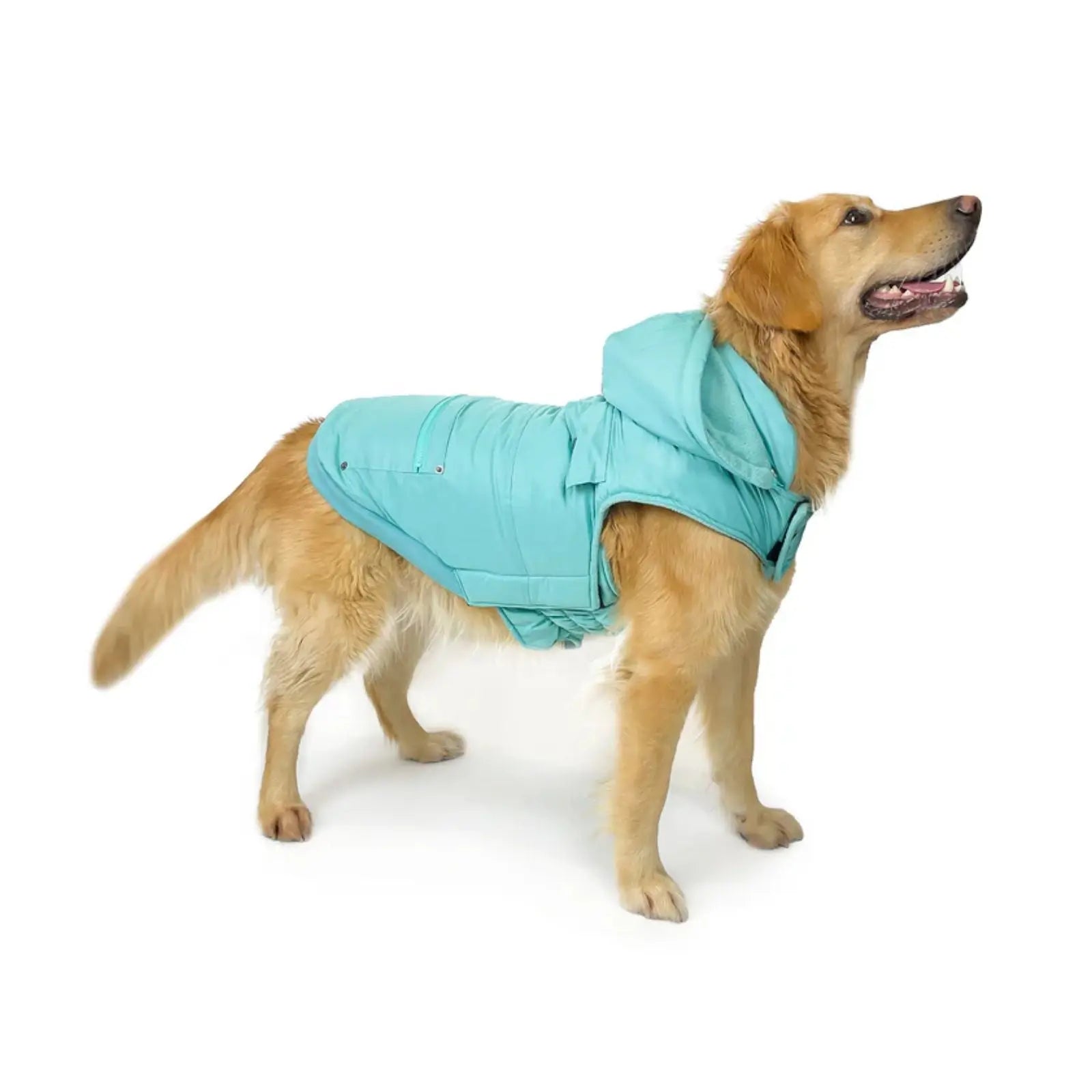 Huskimo Mt Buller – Periwinkle Winter Dog Jacket Huskimo