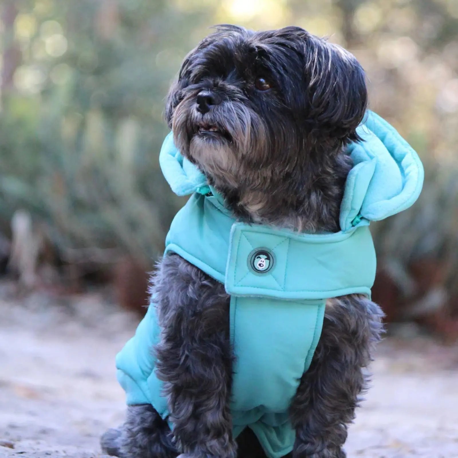 Huskimo Mt Buller – Periwinkle Winter Dog Jacket Huskimo