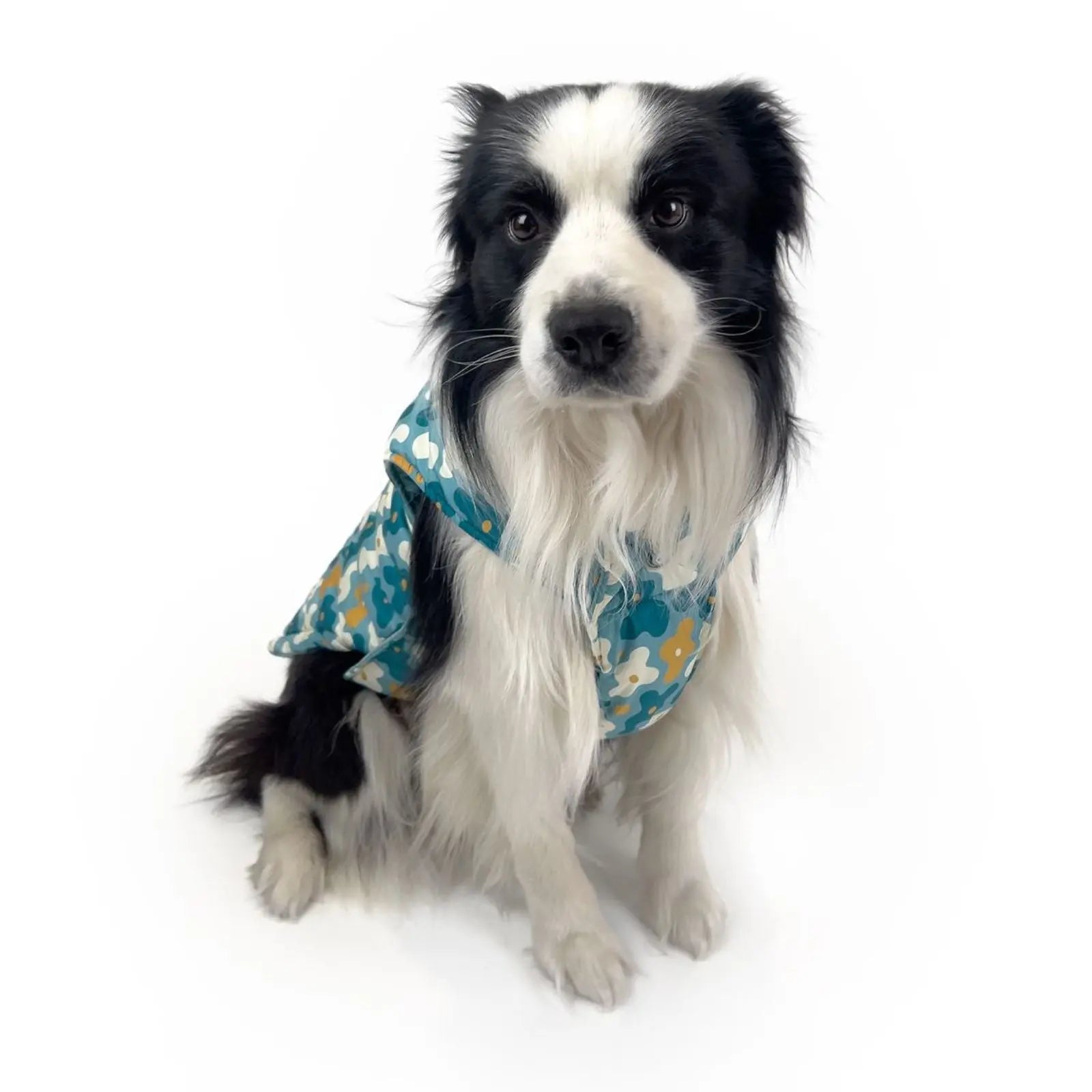 Huskimo Reversible – Pacific Blue Warm 2-in-1 Dog Jacket Huskimo