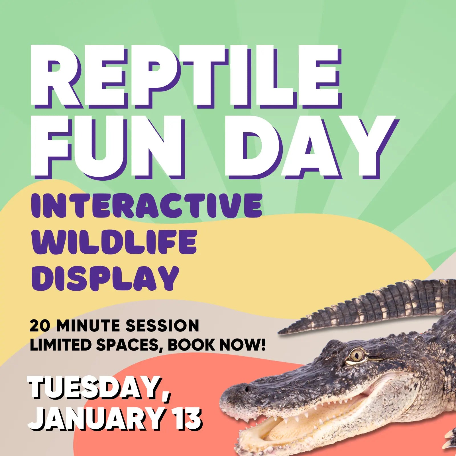 Interactive Wildlife Display Entry Kellyville Pets
