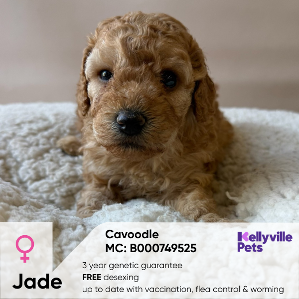 Jade