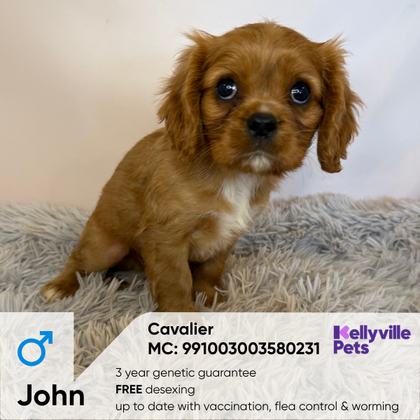 John