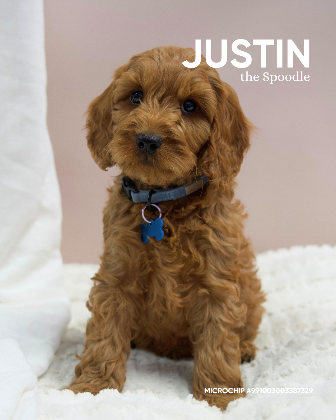 Justin