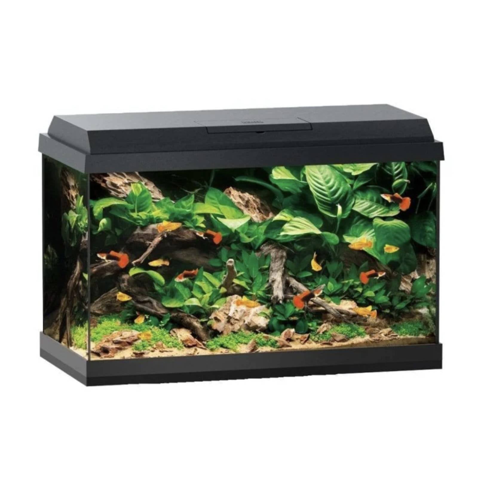 Juwel Primo 60 Tank Black