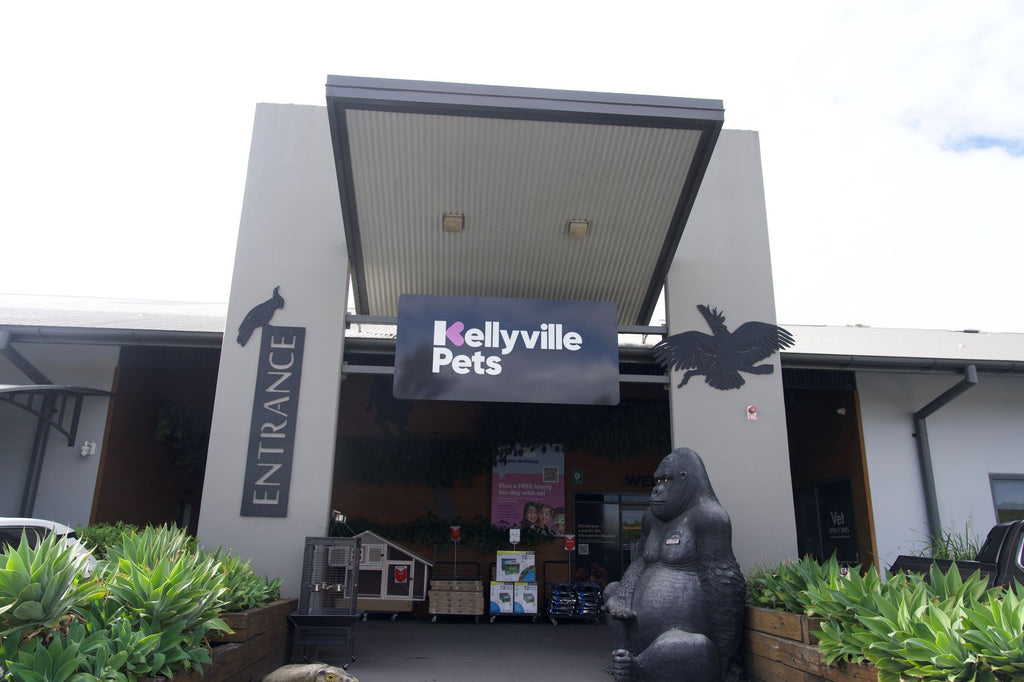 More than a pet store.