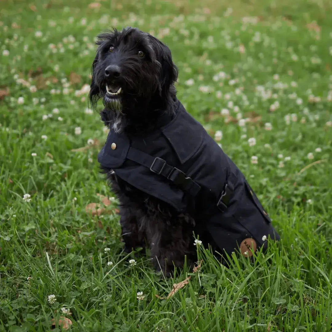 Kazoo Aussie Oilskin Waterproof Dog Coat - Black Kazoo