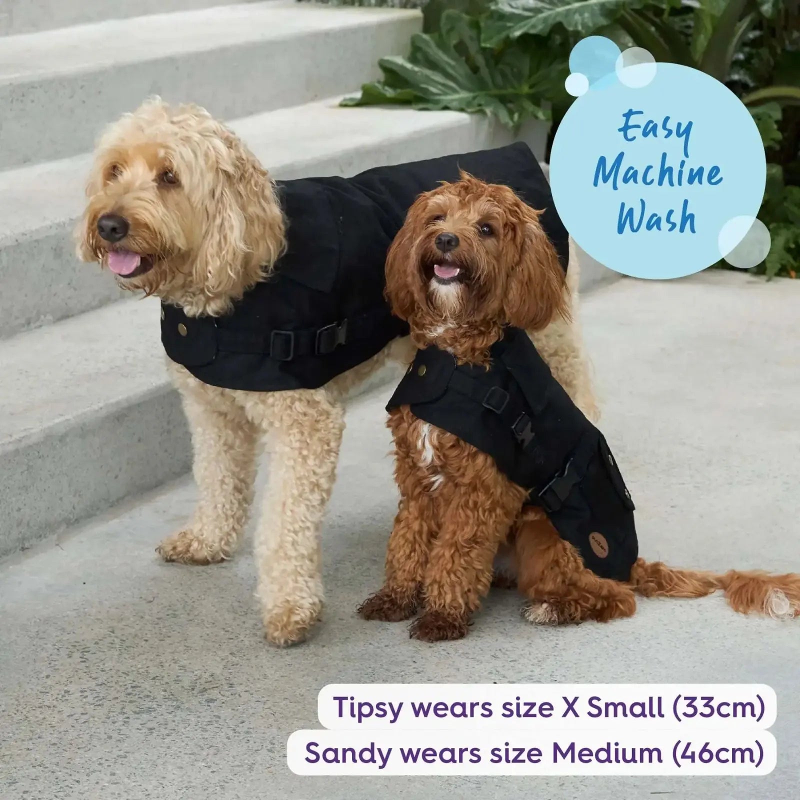 Kazoo Aussie Oilskin Waterproof Dog Coat - Black Kazoo
