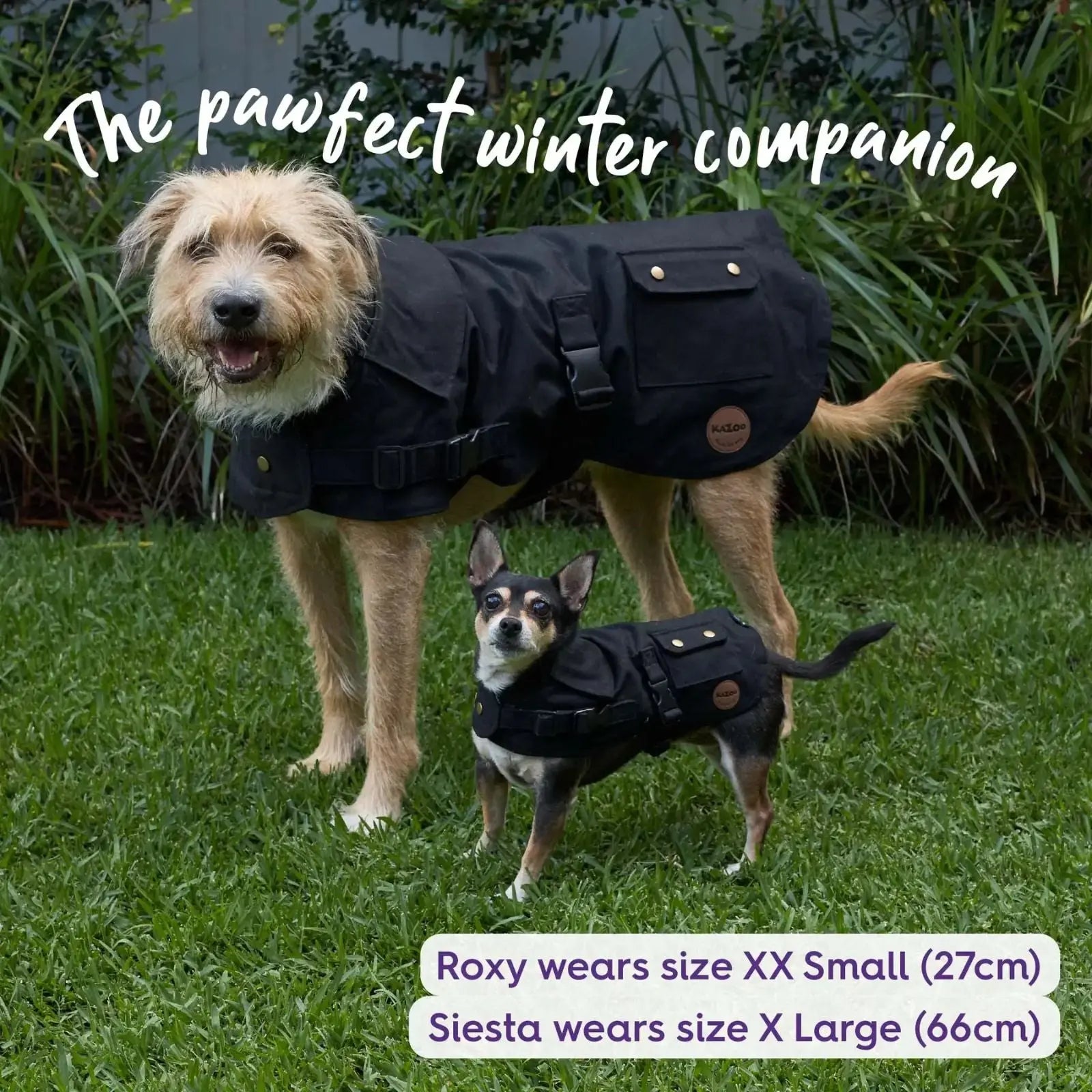 Kazoo Aussie Oilskin Waterproof Dog Coat - Black Kazoo