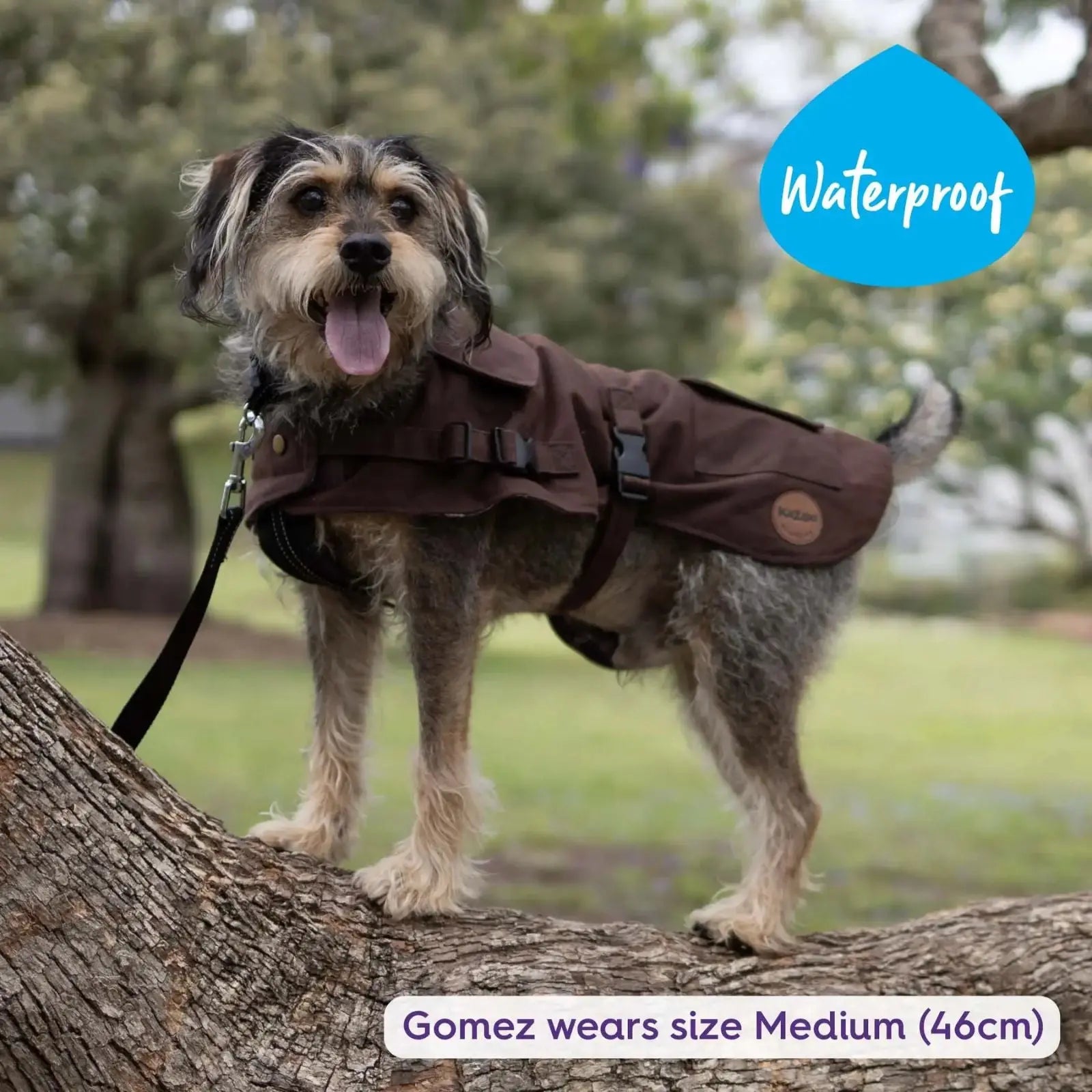 Kazoo Aussie Oilskin Waterproof Dog Coat - Brown Kazoo