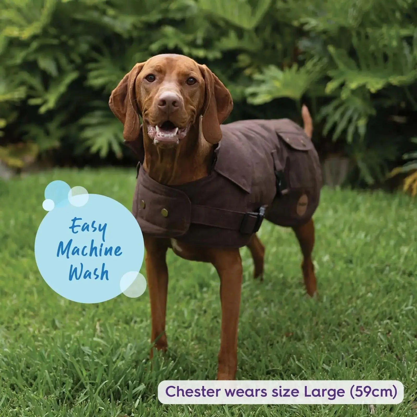 Kazoo Aussie Oilskin Waterproof Dog Coat - Brown Kazoo