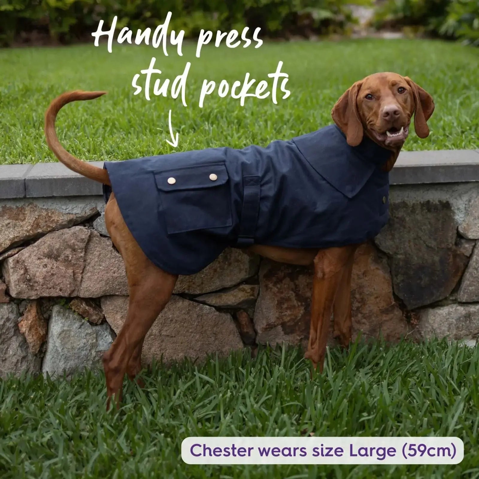 Kazoo Aussie Oilskin Waterproof Dog Coat - Navy Kazoo