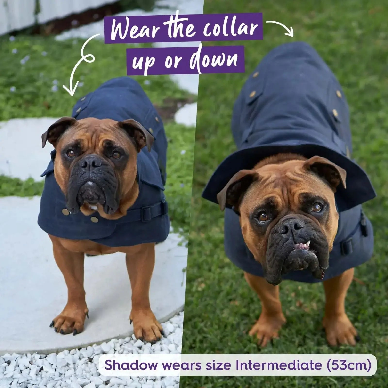 Kazoo Aussie Oilskin Waterproof Dog Coat - Navy Kazoo