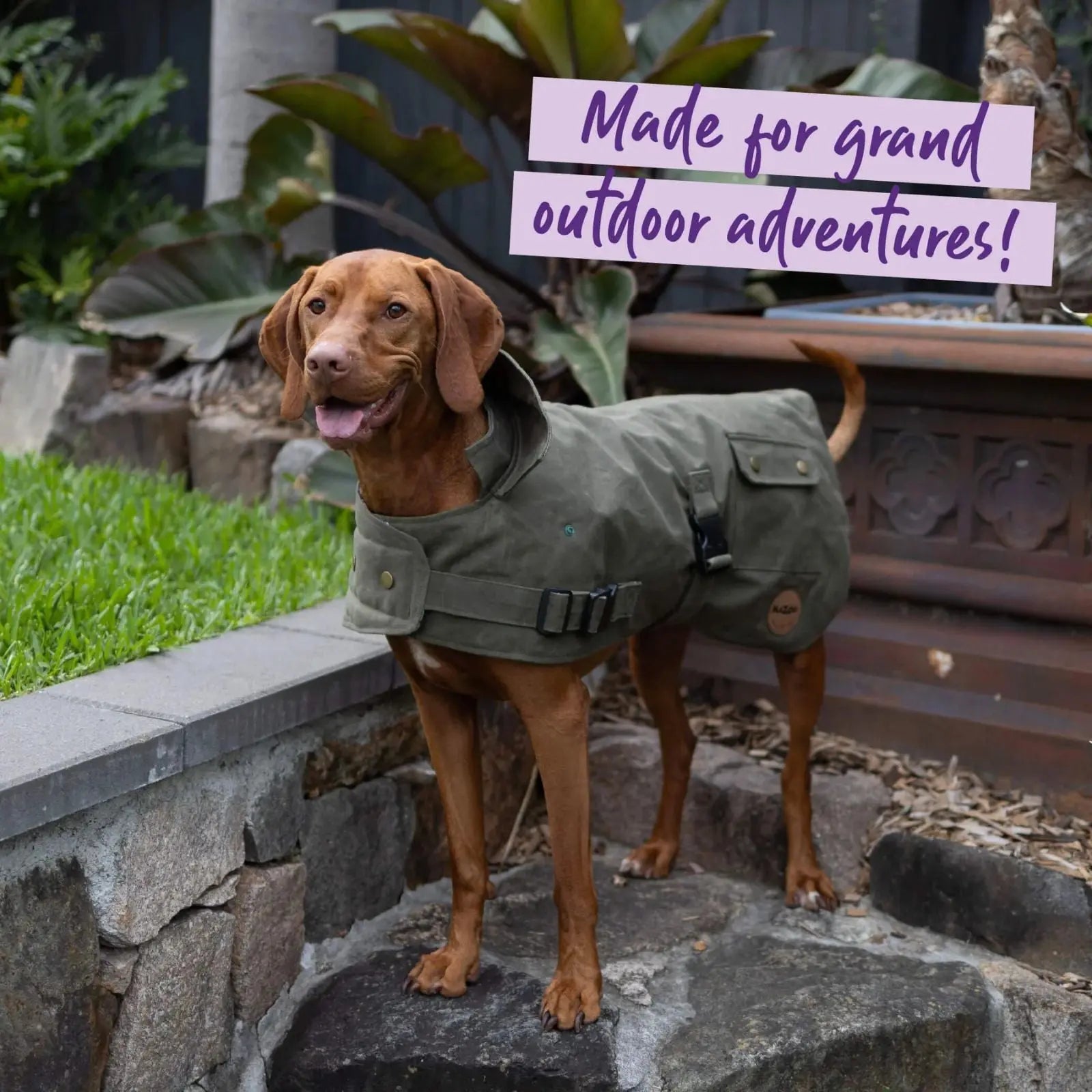 Kazoo Aussie Oilskin Waterproof Dog Coat - Olive Kazoo